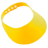 Adjustable Foam Visor