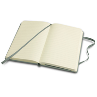 Alexis Notebook