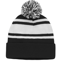 Beanie With Pom Pom