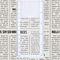 Bookmark Magnifier Ruler