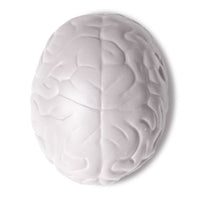 Brain Stress Shape | Custom Branded | Promotional Stress Shape | BRAND KNEW PROMOTIONAL PRODUCTS