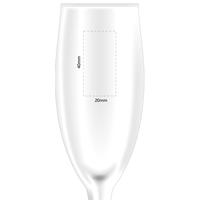 Champagne Flute | Custom Branded | Promotional Glassware | BRAND KNEW PROMOTIONAL PRODUCTS