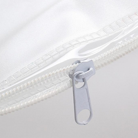 Clear PVC Pencil Case