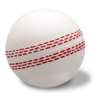 Cricket Ball Stress Shape | Custom Branded | Promotional Stress Shape | BRAND KNEW PROMOTIONAL PRODUCTS