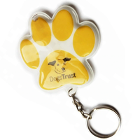 Custom Shape LED Flashlight Key Ring