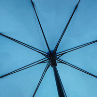 Custom Printed Umbrella