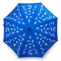 Custom Printed Umbrella