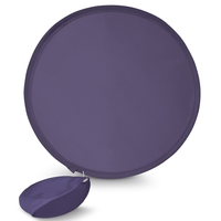 Fan Flyer | Custom Branded | Promotional Novelty | BRAND KNEW PROMOTIONAL PRODUCTS