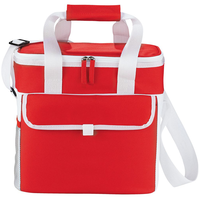 Game Day Sports Cooler Bag