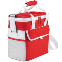 Game Day Sports Cooler Bag