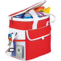 Game Day Sports Cooler Bag