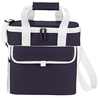 Game Day Sports Cooler Bag