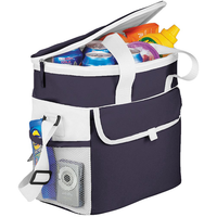 Game Day Sports Cooler Bag