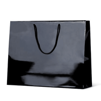 Gloss Laminate Paper Bag | Custom Branded | Promotional Paper Bag | BRAND KNEW PROMOTIONAL PRODUCTS