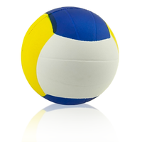 Hacky Sack Stress Shape