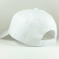 Luminescent Hi-Vis Safety Cap