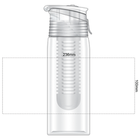 Infusion Drink Bottle