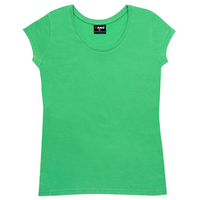 Ladies Scoop Neck T-Shirt
