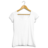 Ladies Scoop Neck T-Shirt