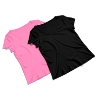 Ladies V-Neck T-Shirt