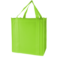 Large Bio Bag