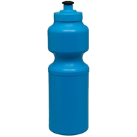 Large Sports Bottle