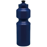 Large Sports Bottle