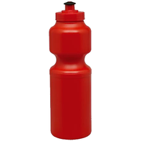 Large Sports Bottle