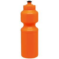 Large Sports Bottle