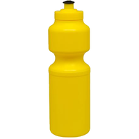 Large Sports Bottle