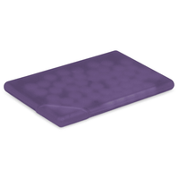 Mint Card | Custom Branded | Promotional confectionery | BRAND KNEW PROMOTIONAL PRODUCTS
