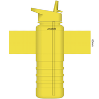 Mix & Match Tritan Bottle