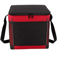 The Perfect Cooler Bag