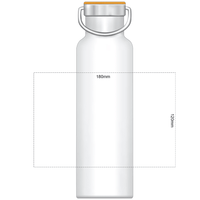 Powder Coated Vacuum Bottle | Custom Branded | Promotional Drink Bottle | BRAND KNEW PROMOTIONAL PRODUCTS