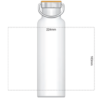 Powder Coated Vacuum Bottle