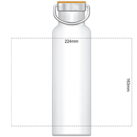Powder Coated Vacuum Bottle | Custom Branded | Promotional Drink Bottle | BRAND KNEW PROMOTIONAL PRODUCTS