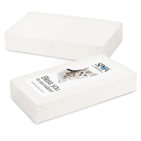 Promotional Paper Tissues