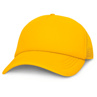 Promo Trucker Cap | Custom Branded | Promotional Headwear | BRAND KNEW PROMOTIONAL PRODUCTS