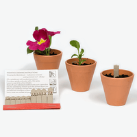 Seedsticks Packets | Custom Branded | Promotional Novelty | BRAND KNEW PROMOTIONAL PRODUCTS