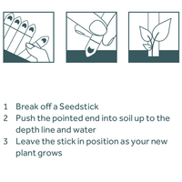 Seedsticks Packets | Custom Branded | Promotional Novelty | BRAND KNEW PROMOTIONAL PRODUCTS