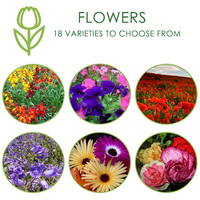 Seedsticks Packets | Custom Branded | Promotional Novelty | BRAND KNEW PROMOTIONAL PRODUCTS