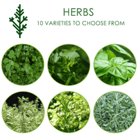 Seedsticks Packets | Custom Branded | Promotional Novelty | BRAND KNEW PROMOTIONAL PRODUCTS