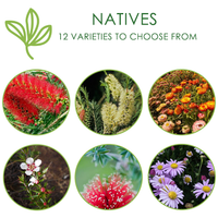 Seedsticks Packets | Custom Branded | Promotional Novelty | BRAND KNEW PROMOTIONAL PRODUCTS