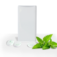 Flip Top Tin Filled With Spearmints