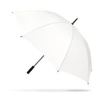 Sports Umbrella