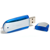 Brushed Metal and Plastic USB Flash Drive