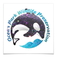 Glitter Tattoos | Custom Branded | Promotional tattoo | BRAND KNEW PROMOTIONAL PRODUCTS