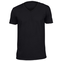 Men V-Neck T-Shirts