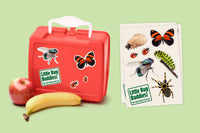 A red plastic lunchbox with a white handle decorated with bug-themed stickers, shown next to a sheet of matching sticker cards. A red apple and a yellow banana are placed in front of the lunchbox on a light green background.
