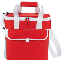 Game Day Sports Cooler Bag
